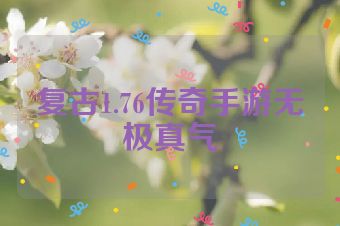 复古1.76传奇手游无极真气