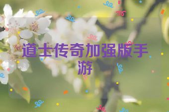 道士传奇加强版手游
