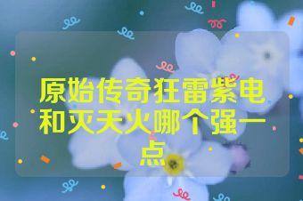 原始传奇狂雷紫电和灭天火哪个强一点