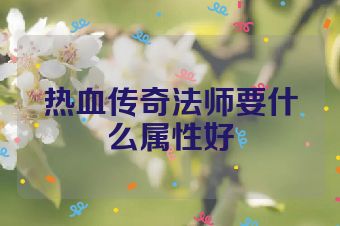 热血传奇法师要什么属性好