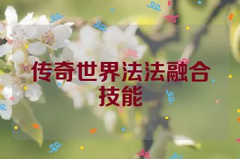 传奇世界法法融合技能