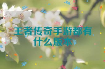王者传奇手游都有什么版本
