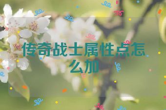 传奇战士属性点怎么加