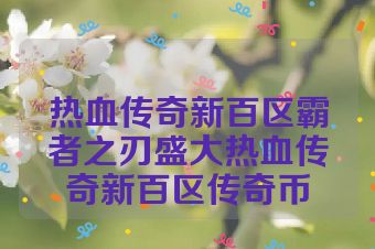 热血传奇新百区霸者之刃盛大热血传奇新百区传奇币
