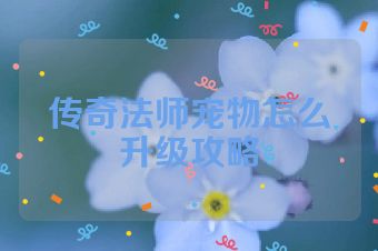 传奇法师宠物怎么升级攻略