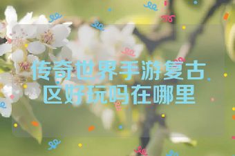 传奇世界手游复古区好玩吗在哪里