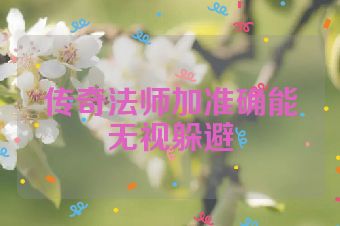 传奇法师加准确能无视躲避