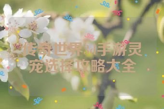 传奇世界3d手游灵宠选择攻略大全