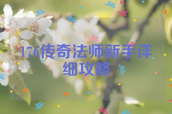 176传奇法师新手详细攻略