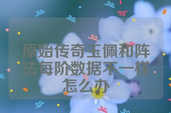 原始传奇玉佩和阵法每阶数据不一样怎么办