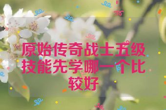 原始传奇战士五级技能先学哪一个比较好