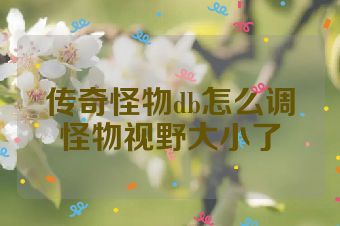 传奇怪物db怎么调怪物视野大小了