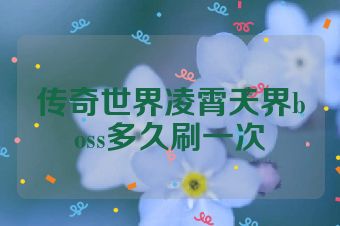 传奇世界凌霄天界boss多久刷一次
