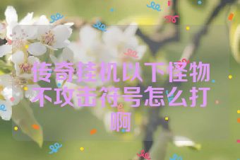 传奇挂机以下怪物不攻击符号怎么打啊