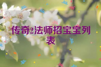传奇2法师招宝宝列表