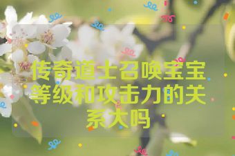 传奇道士召唤宝宝等级和攻击力的关系大吗