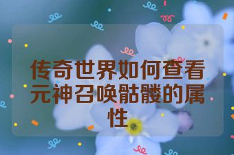 传奇世界如何查看元神召唤骷髅的属性