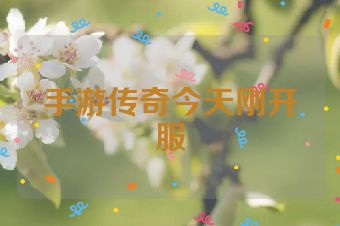 手游传奇今天刚开服