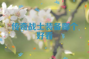 传奇战士装备哪个好看