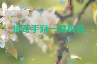 传奇手游一键吸怪