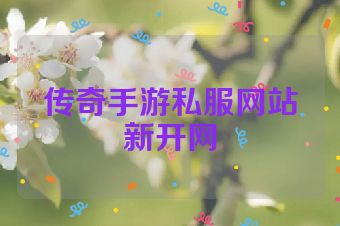 传奇手游私服网站新开网