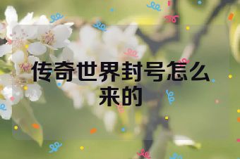 传奇世界封号怎么来的