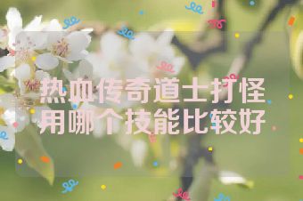 热血传奇道士打怪用哪个技能比较好