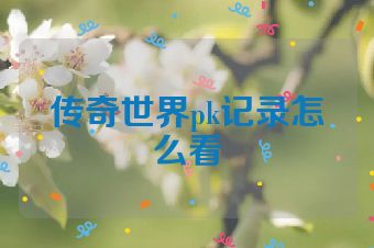 传奇世界pk记录怎么看
