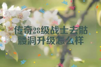 传奇28级战士去骷髅洞升级怎么样