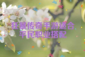 狂暴传奇手游适合平民职业搭配