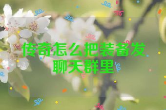 传奇怎么把装备发聊天群里