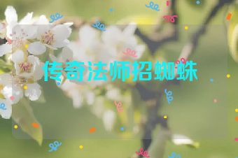传奇法师招蜘蛛