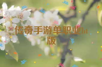 传奇手游单职业bt版
