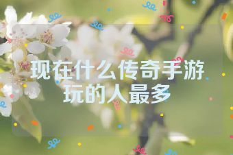 现在什么传奇手游玩的人最多