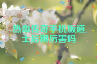 热血传奇手机版道士后期厉害吗