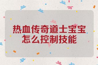 热血传奇道士宝宝怎么控制技能
