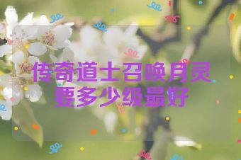 传奇道士召唤月灵要多少级最好