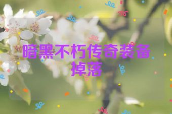 暗黑不朽传奇装备掉落