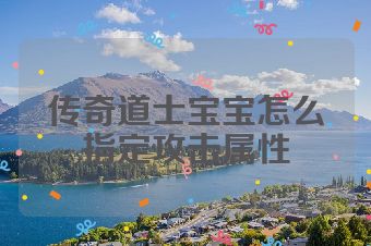 传奇道士宝宝怎么指定攻击属性
