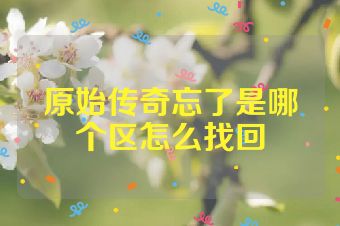 原始传奇忘了是哪个区怎么找回