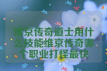 维京传奇道士用什么技能维京传奇哪个职业打怪最快