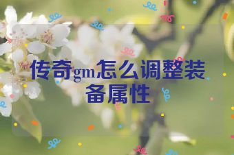传奇gm怎么调整装备属性