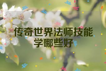 传奇世界法师技能学哪些好