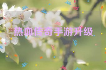 热血传奇手游升级