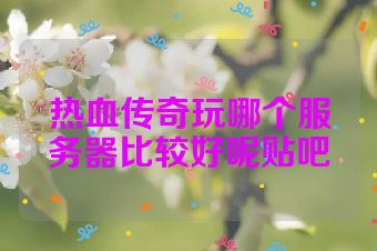 热血传奇玩哪个服务器比较好呢贴吧