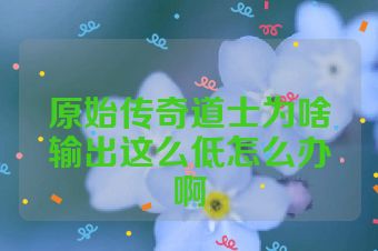 原始传奇道士为啥输出这么低怎么办啊