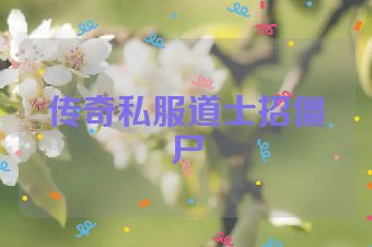 传奇私服道士招僵尸