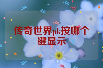 传奇世界pk按哪个键显示