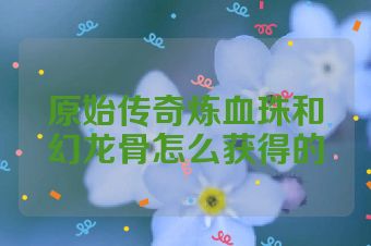 原始传奇炼血珠和幻龙骨怎么获得的