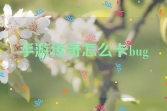 手游传奇怎么卡bug